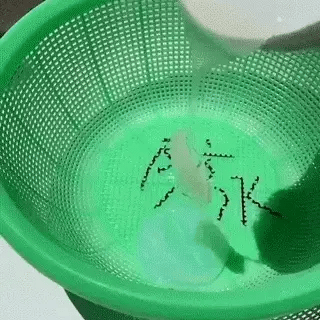 LeakShield Waterproof Glue.